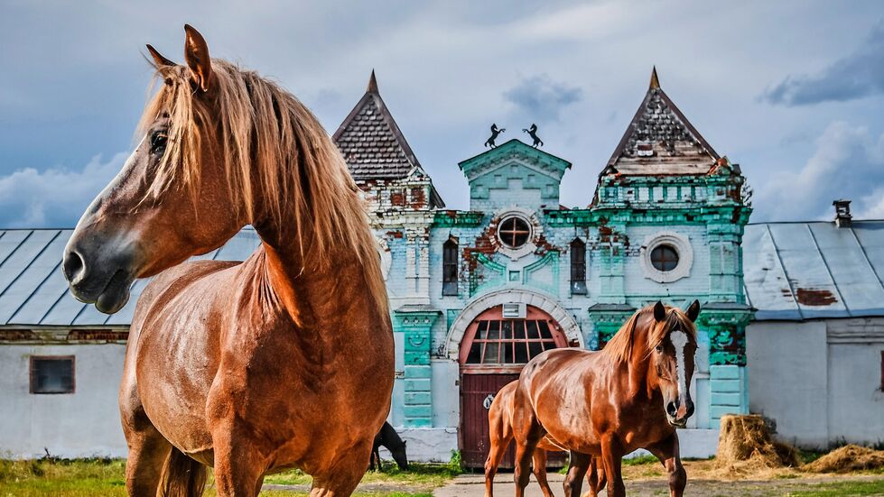 Для страницы Реклама и Спецпроекты. Анонс Фотопроекты Для страницы Реклама и Спецпроекты. Анонс Фотопроекты - Rossiya Segodnya, 980